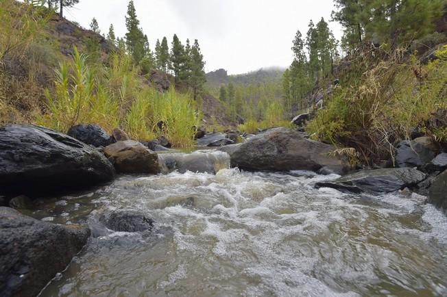 Reportaje lluvias, presa de Chira