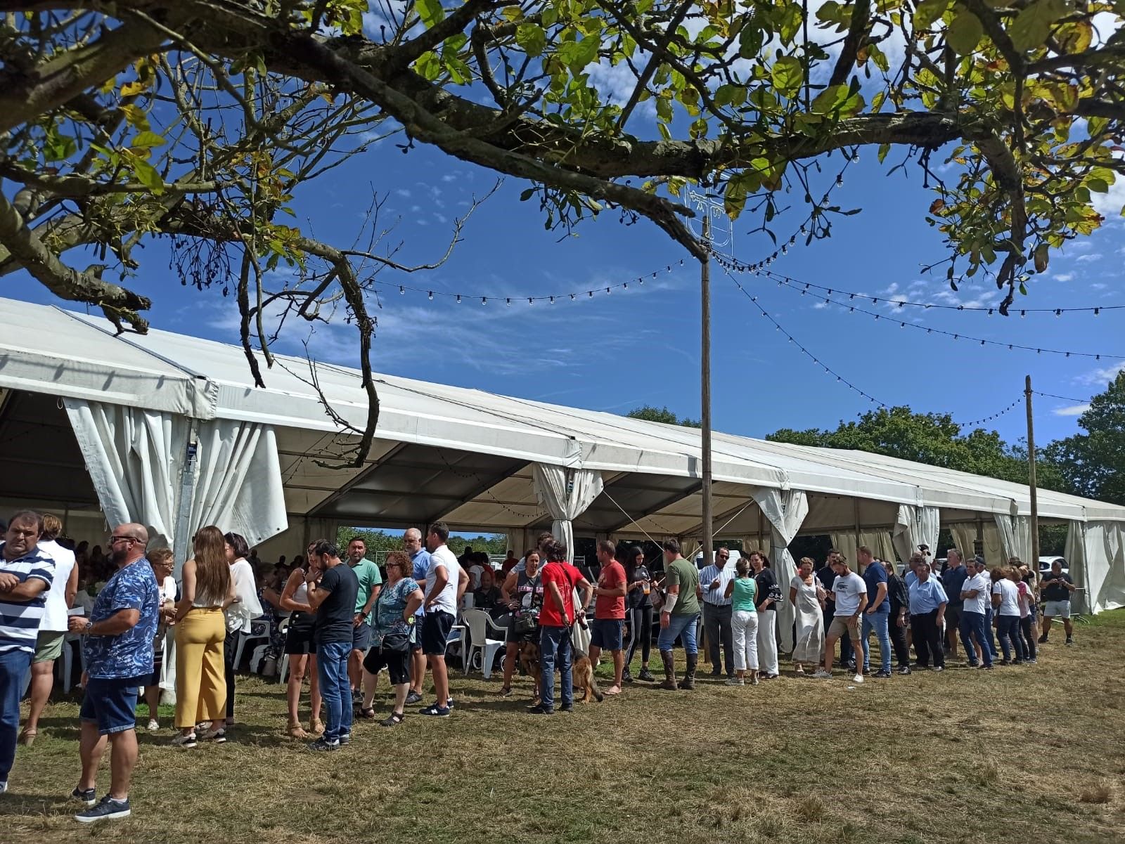 El "sorteo más rápido de la historia" y la gran corderada en las concurridas fiestas de Celles