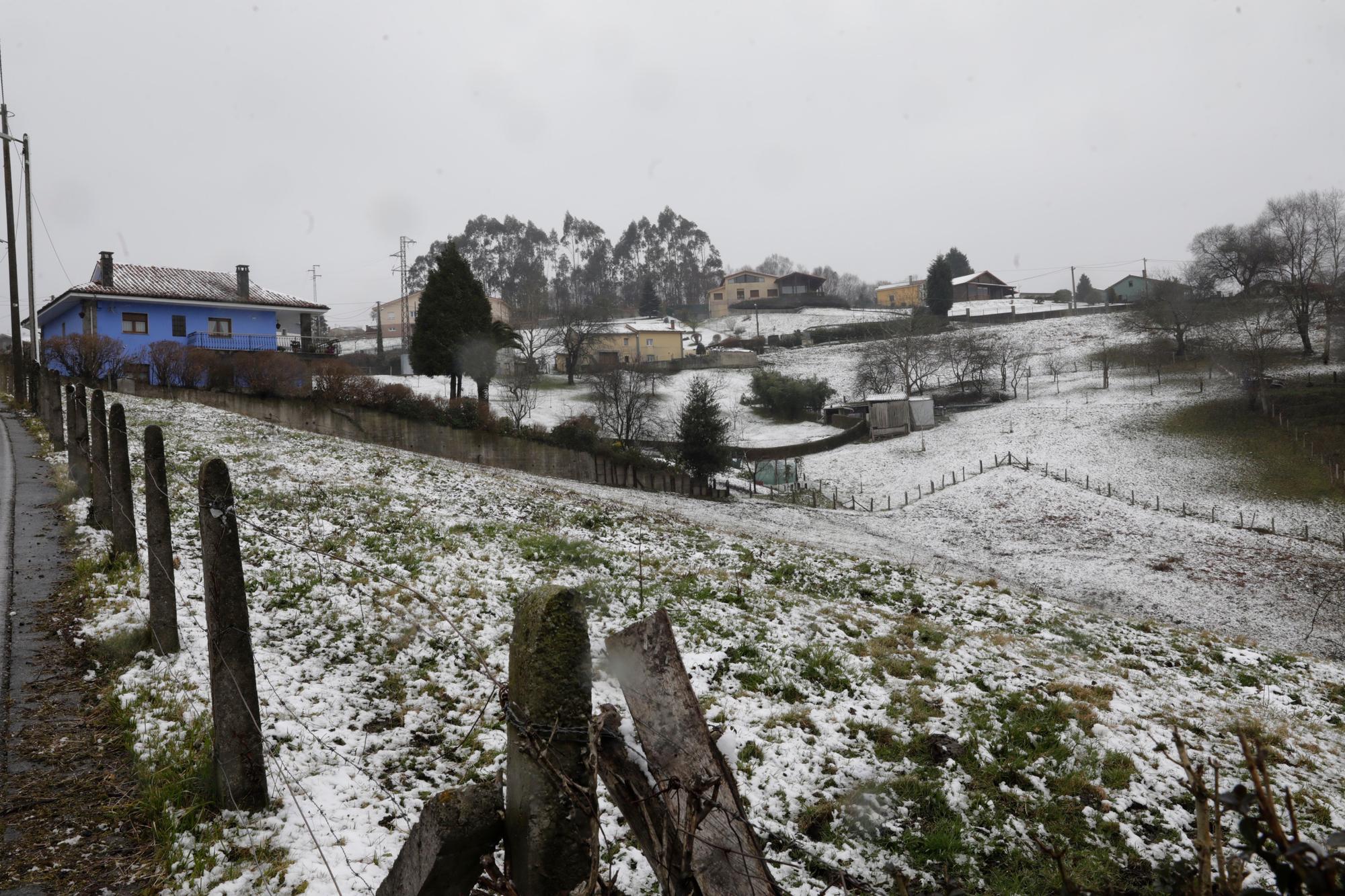 EN IMÁGENES: La borrasca Juliette lleva la nieve casi hasta la costa en Asturias