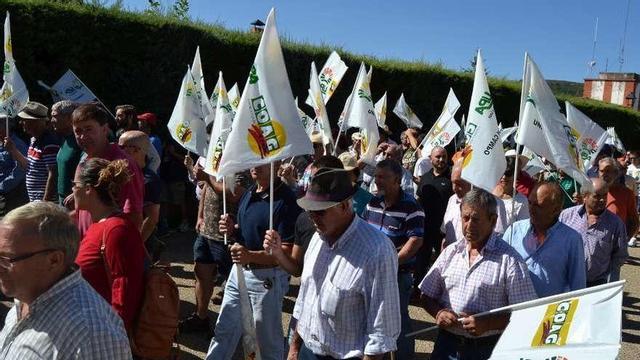 Los manifestantes durante la protesta organizada ayer por la Alianza UPA-COAG.