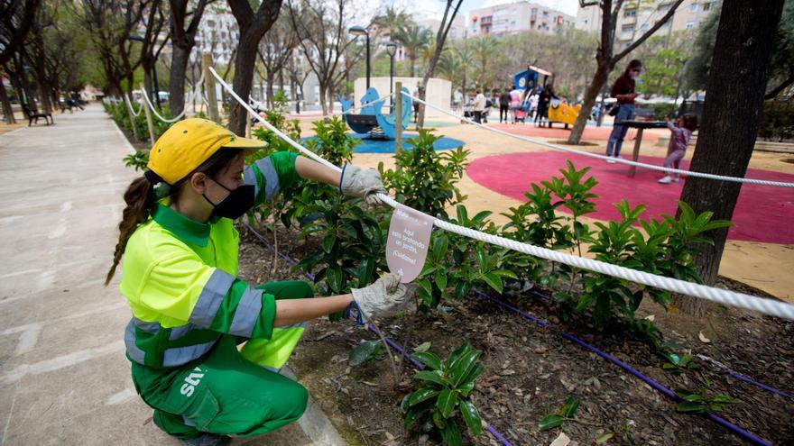 La oferta del Ayuntamiento no convence a la excluida del concurso de Zonas Verdes