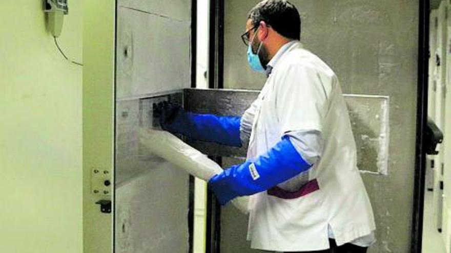 El director assistencial del Banc de Teixits extreu un fèmur del congelador | ACN/LAURA FÍGULS