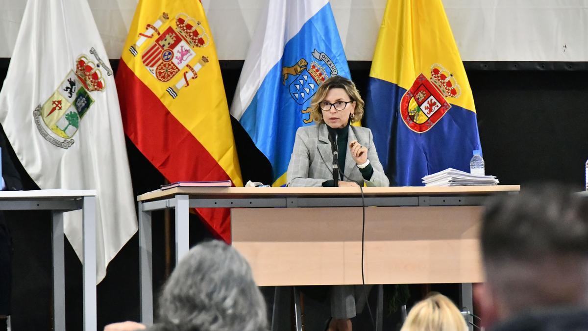 Conchi Narváez durante un pleno.