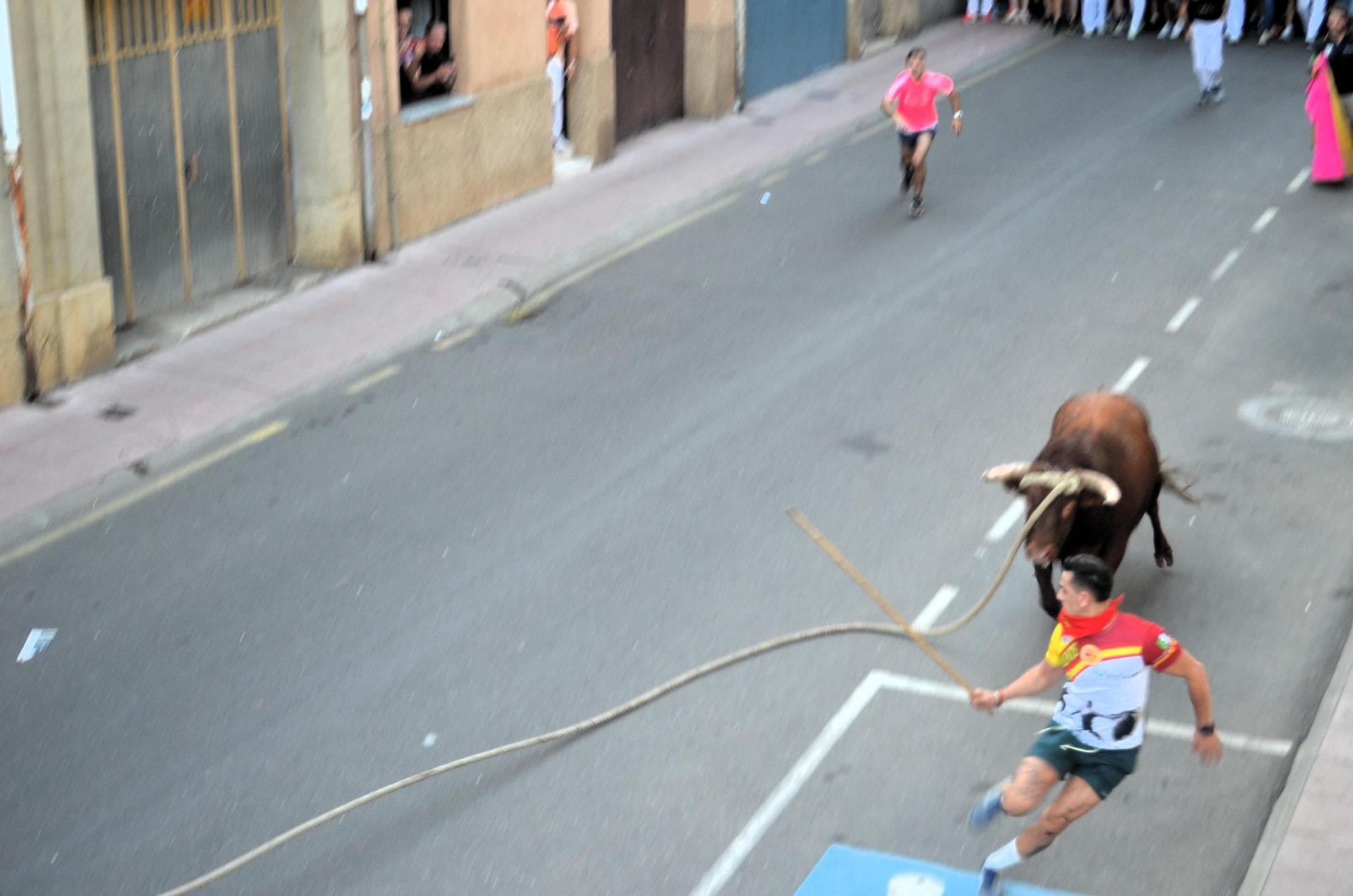 Así ha sido la carrera del torito Espléndido en Benavente