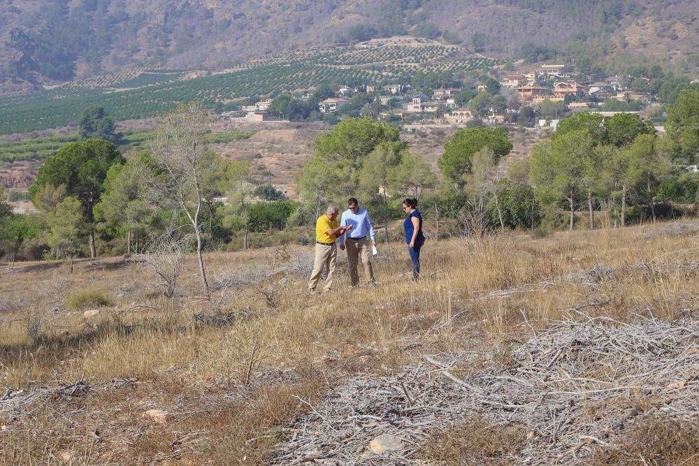 La Tercera Edad participa en la plantación de un centenar de árboles