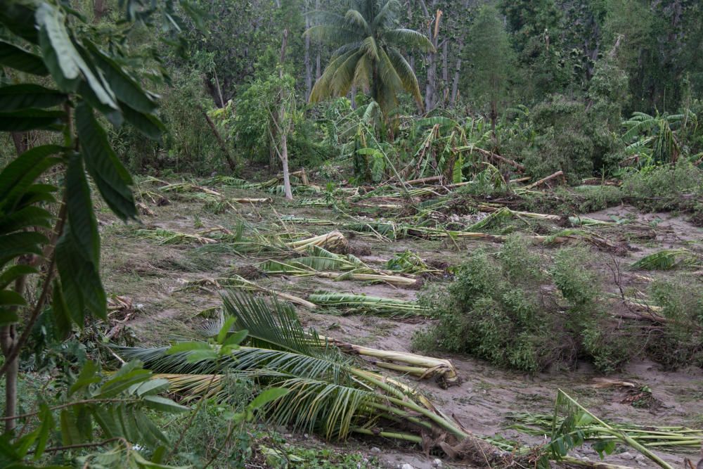 El huracán Matthew deja numerosos daños y decenas de víctimas en Haití