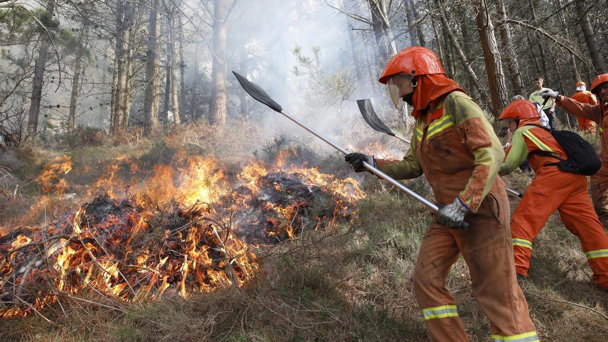 Bomberos forestales actúan contra el fuego en un incendio forestal en Asturias.