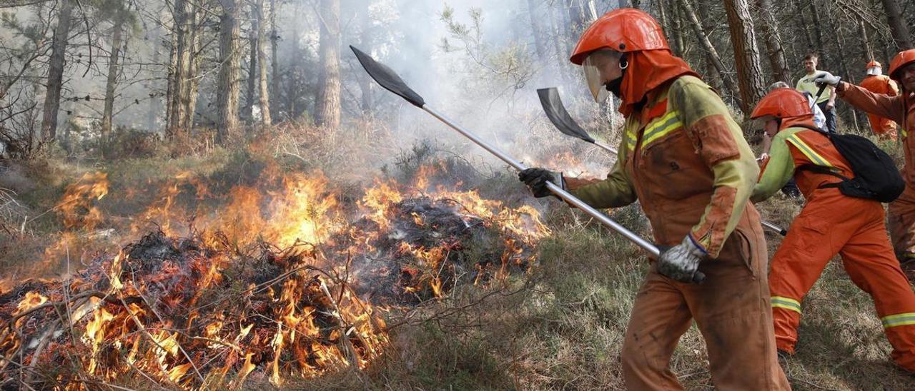 Bomberos forestales actúan contra el fuego en un incendio forestal en Asturias.