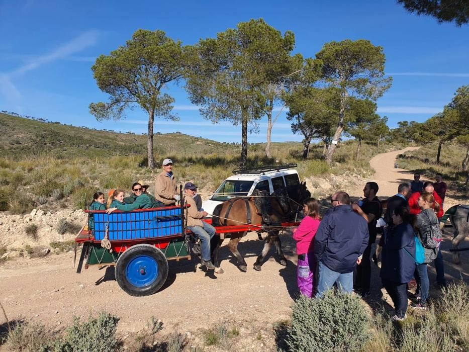 La falla Convento Jerusalén hace una repoblación forestal en Lliria