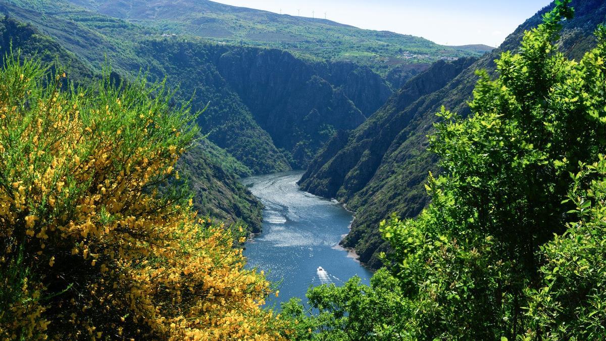 Catamarán por la Ribeira Sacra