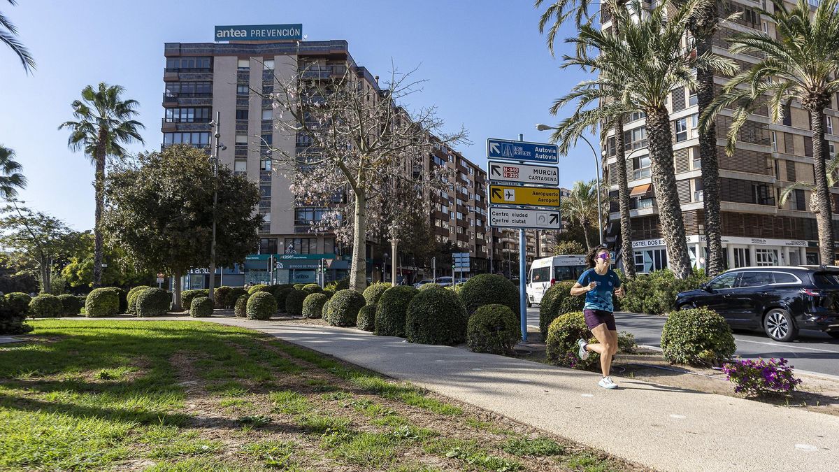 "Desaparece" un árbol de la Plaza de Galicia