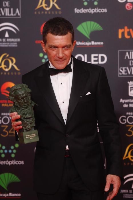 Antonio Banderas, Goya a Mejor Actor por 'Dolor y Gloria'.