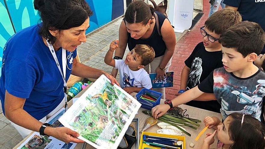 La Fundació Oceanogràfic se suma a la Setmana de la Ciència