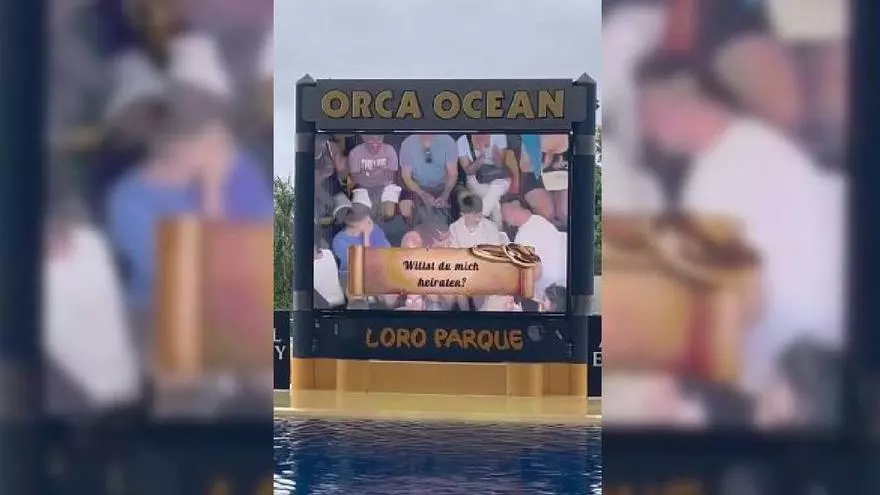 Pedida de mano en Loro Parque