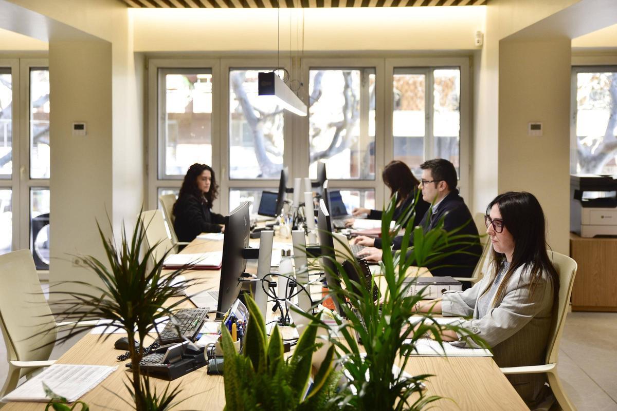 Grup Bueso ofereix solucions a mida, adaptades a les necessitats reals de cada client