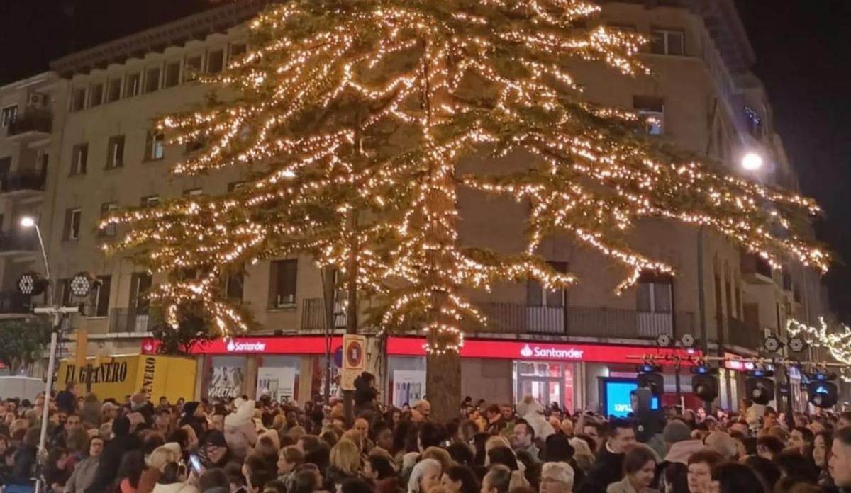 El gran cedro frente a la casa consistorial vuelve a iluminar la Navidad. |
