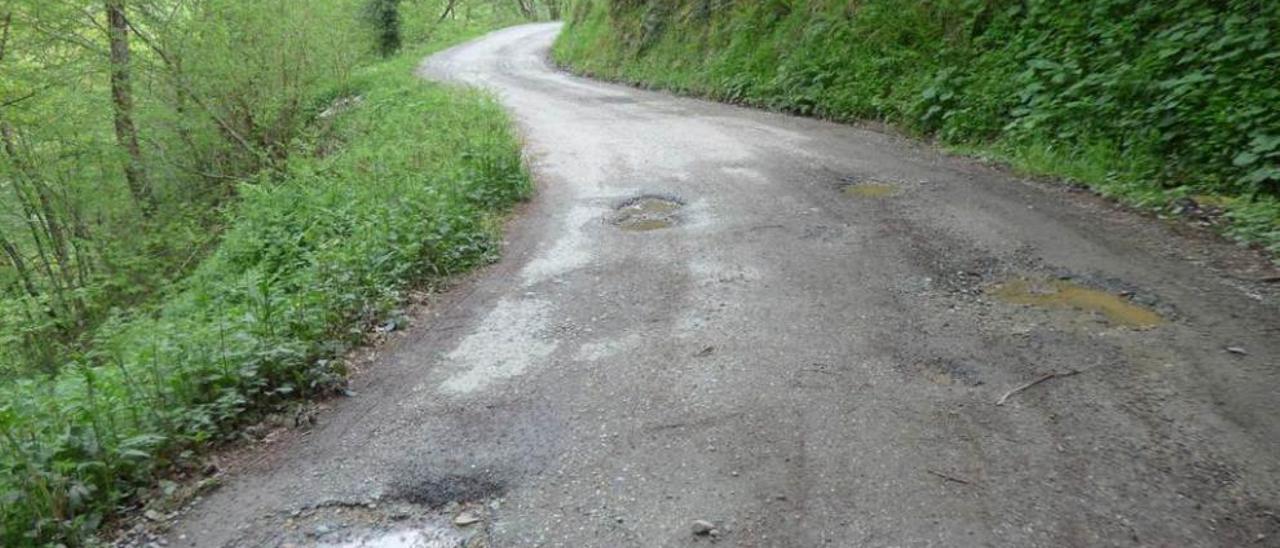 El mal estado de un tramo de la pista que lleva a Riomolín.