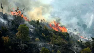 De Horta de Sant Joan al Empordà y Montserrat: los grandes incendios que han azotado Catalunya en las últimas décadas