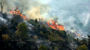 Frente del incendio que afecta desde el día 20 la zona de Horta de Sant Joan (Tarragona)