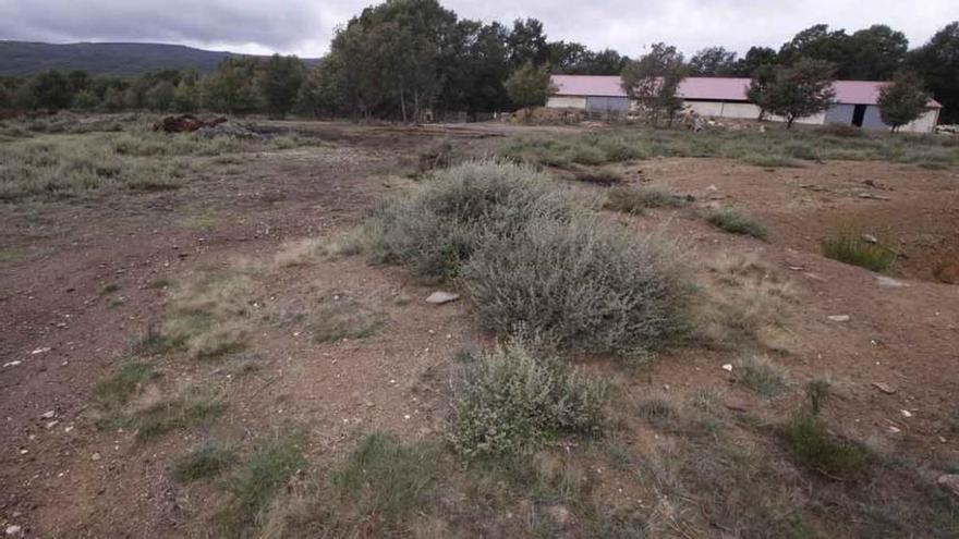 Terrenos de Otero de Sanabria donde se proyectó la estación.