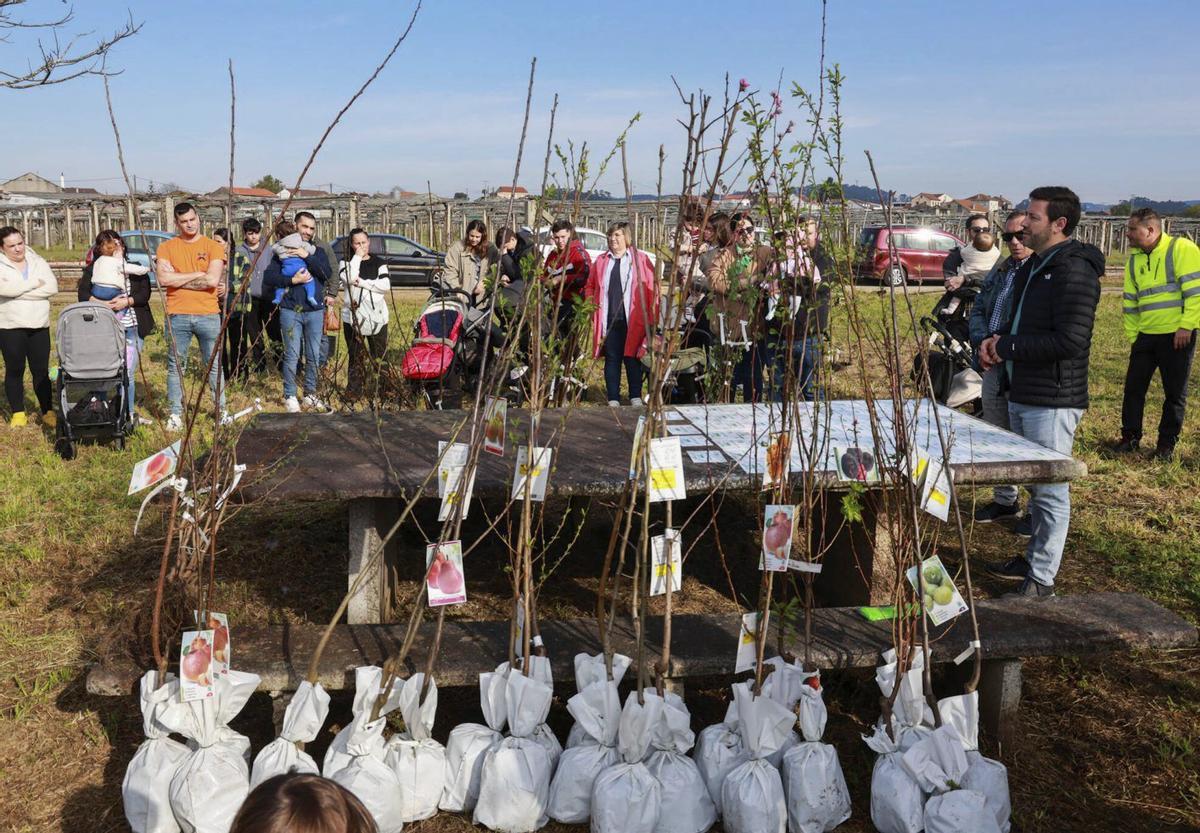 Arborízate se celebró en un parque público situado en Covas de Lobos.