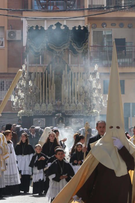 Domingo de Ramos | Humildad y Paciencia