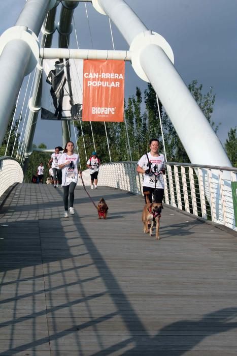 Los participantes en la cuarta Can-rrera.