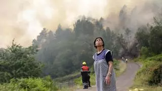 Contra el abandono del monte, cachenas: «Gestionan la vegetación para evitar que el incendio sea tan virulento»