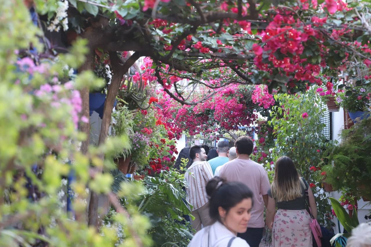 Los Patios galardonados