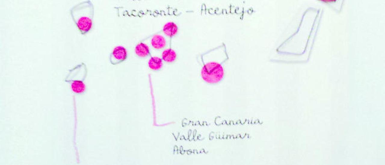 Costruyendo nuevos sabores es el nombre genérico que titula el mapa de la discordia. Está salpicado de nombres de denominaciones de origen que, más o menos, se sitúan en sus áreas con líneas. Sin embargo, su esquematicidad deja de funcionar cuando se detiene en el Archipiélago.