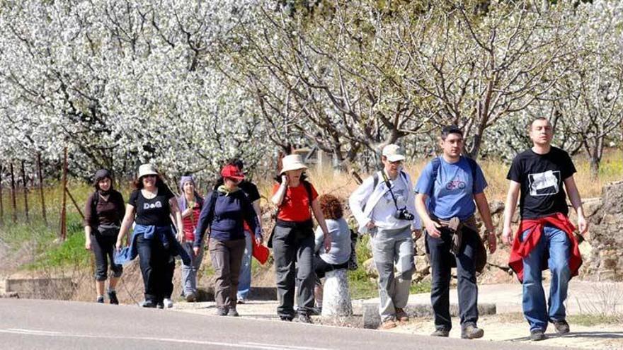 El Leader recibe 20 proyectos por importe de 1,3 millones de euros