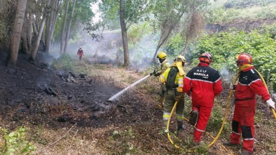 La limpieza del lecho impide que un incendio se extienda en Bocairent