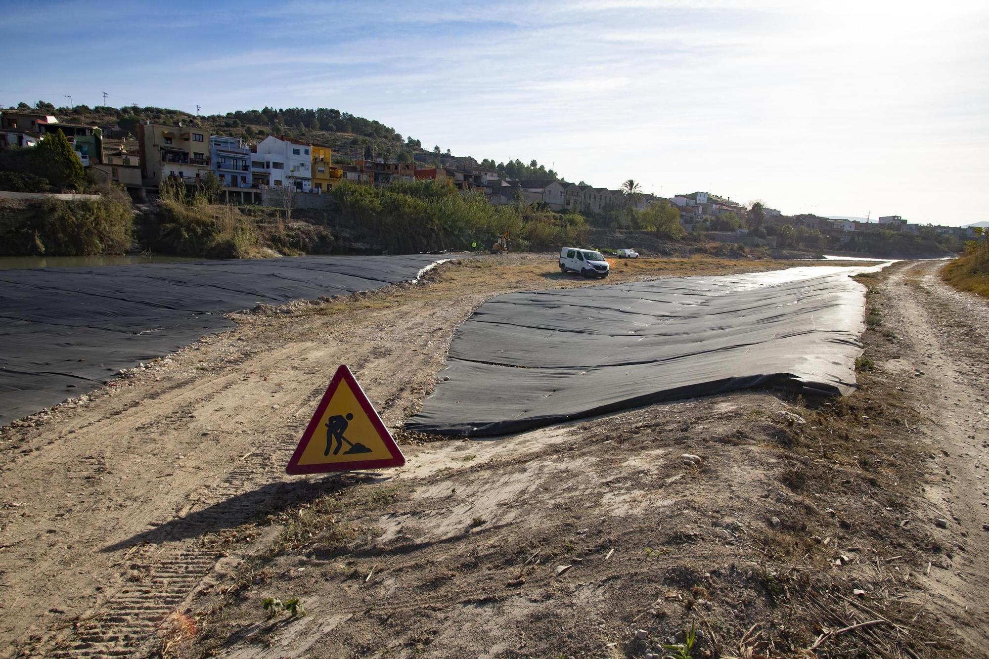 Recuperación del bosque de ribera en el río Albaida