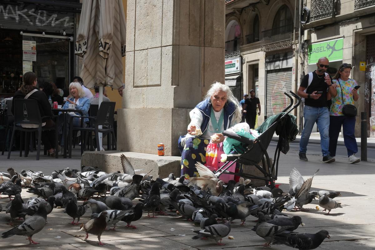 Una mujer alimenta palomas en una calle del Raval, en Barcelona.