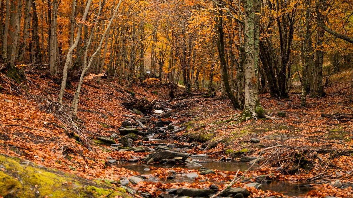 Una ruta de senderismo sobre un pedazo de Patrimonio de la Humanidad