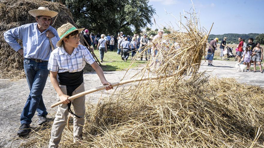Avià reviurà les feines tradicionals del camp amb el Segar i el Batre