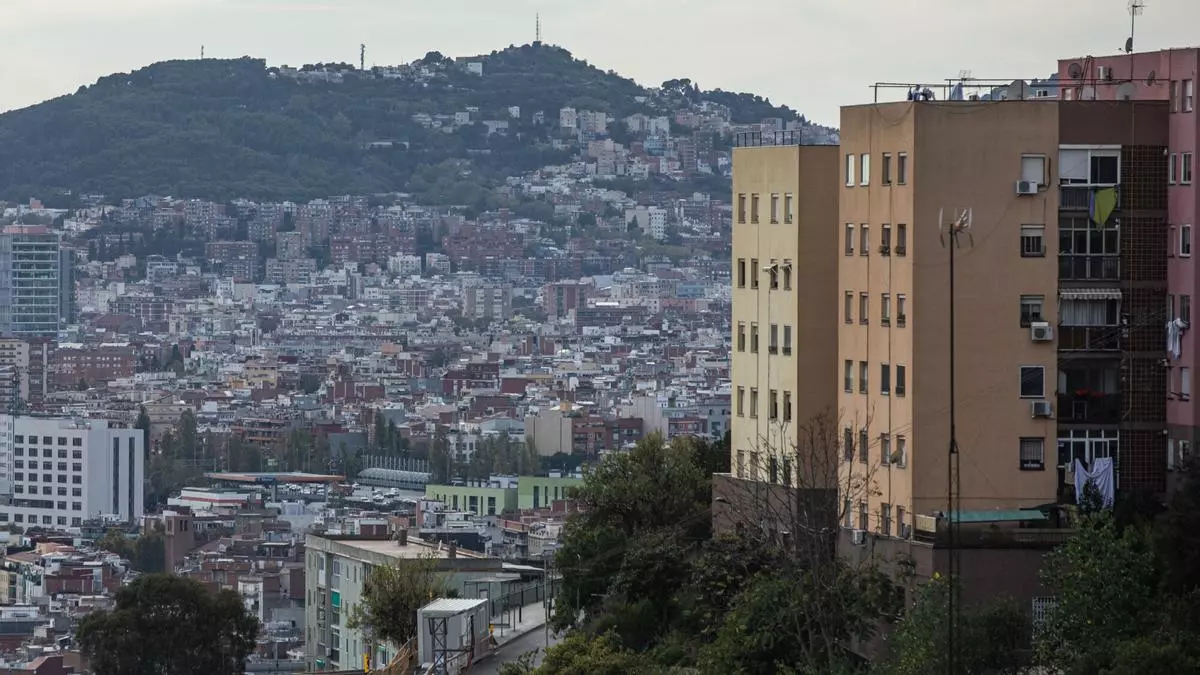 Aparece muerto un hombre en una zona boscosa de Santa Coloma de Gramenet