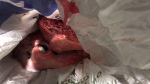 whatsapp-image-2017-12-15-at-13