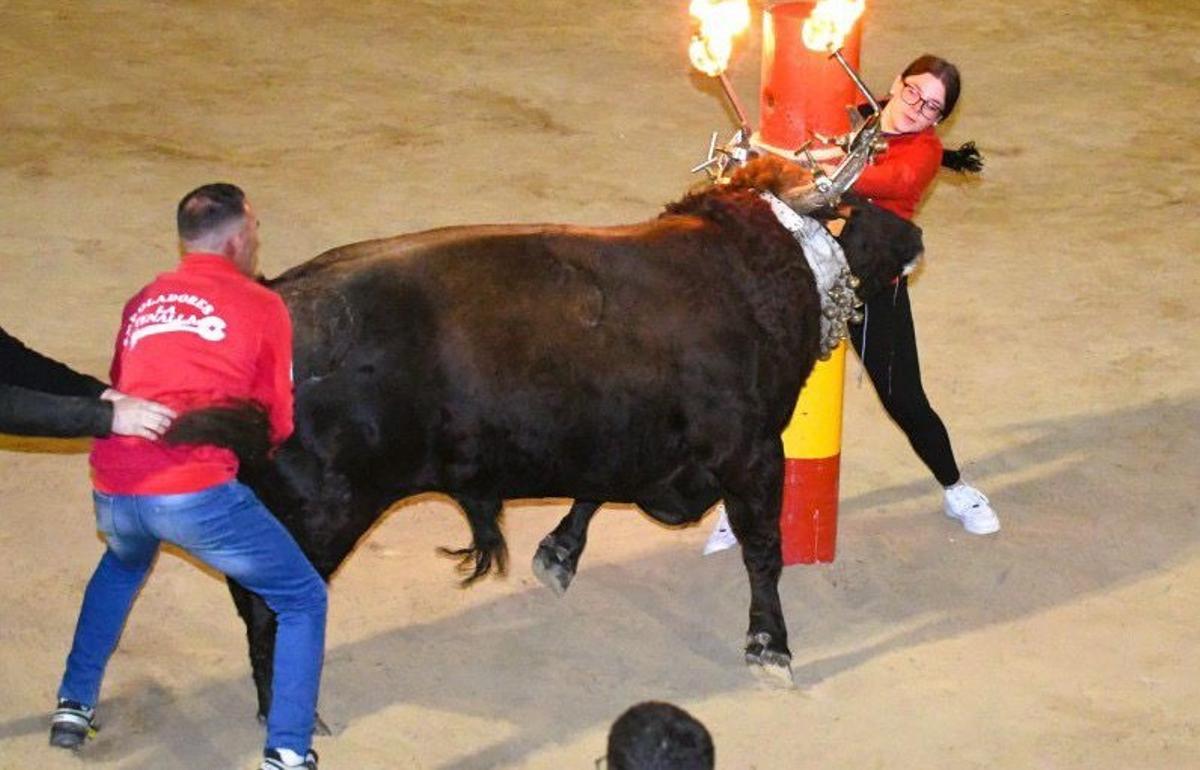 Uno de los momentos de toro embolado en la plaza de Orpesa.