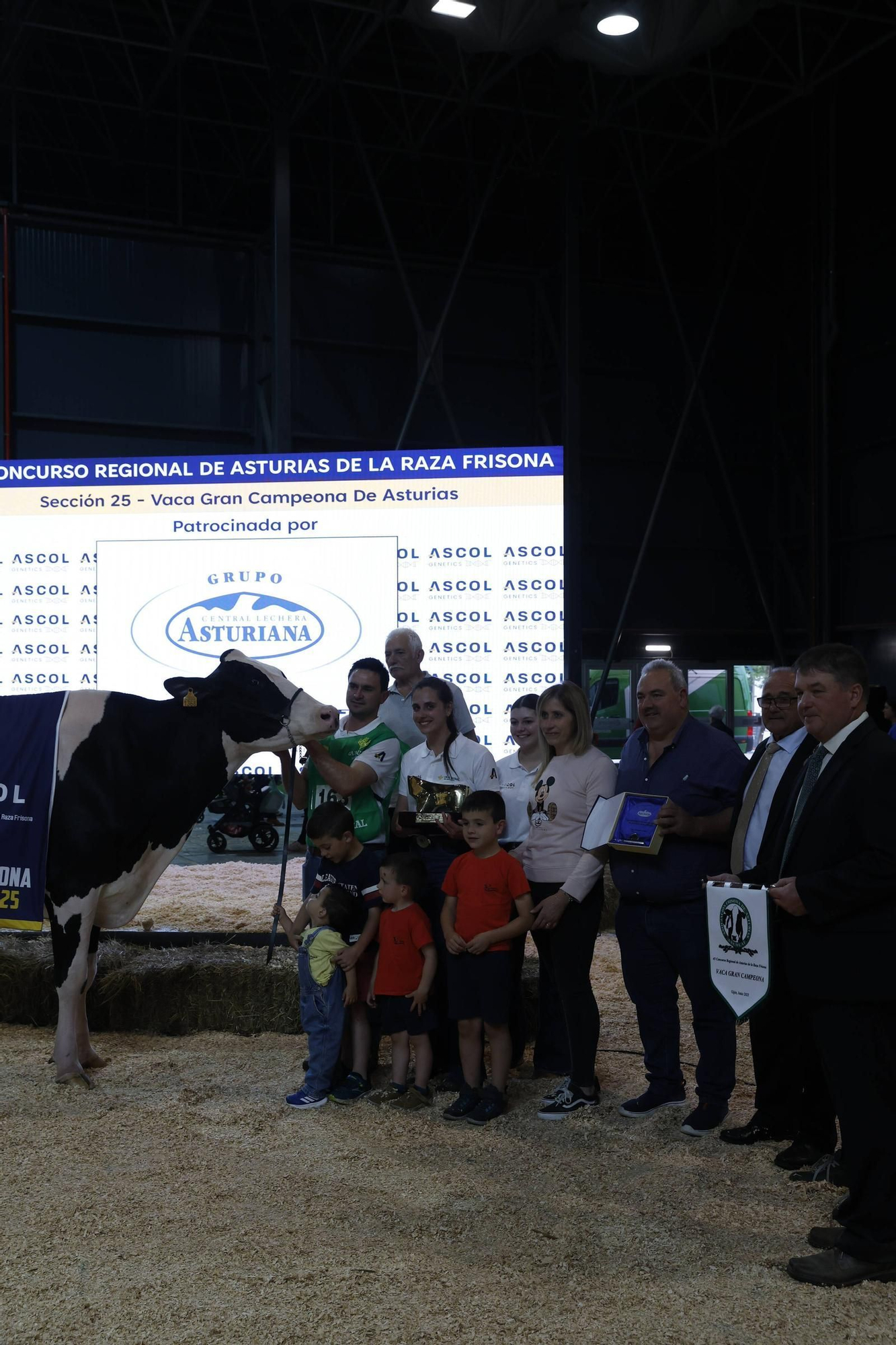 El concurso en Gijón de la mejor vaca de Asturias, en imágenes