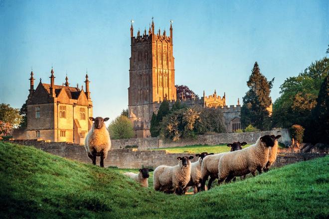 Ovejas frente a la iglesia de St. James, Chipping Campden, Reino Unido, Paisajes reales