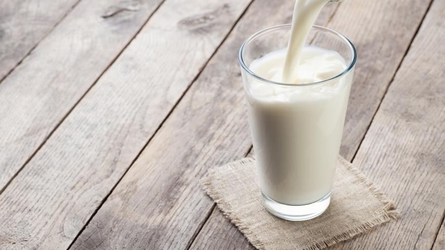 De soja, de avena, sin lactosa...¿Cuál es realmente la leche más saludable?