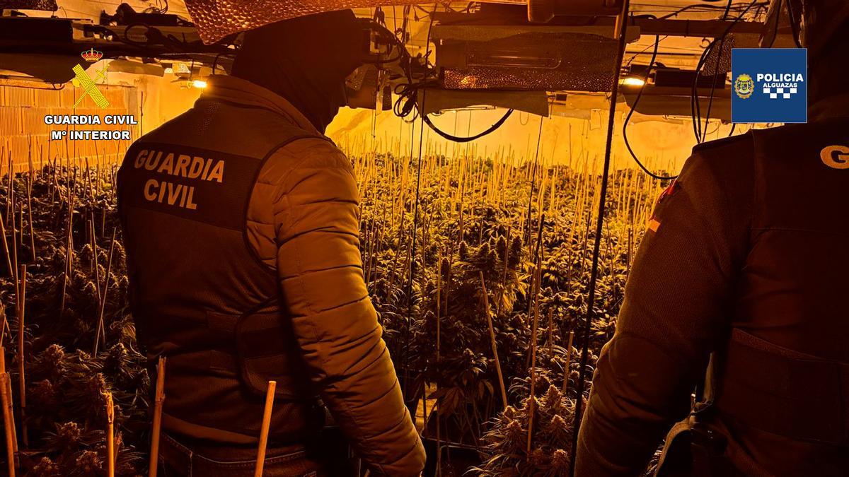 Desmantelamiento de un cultivo de marihuana 'indoor' en Alguazas