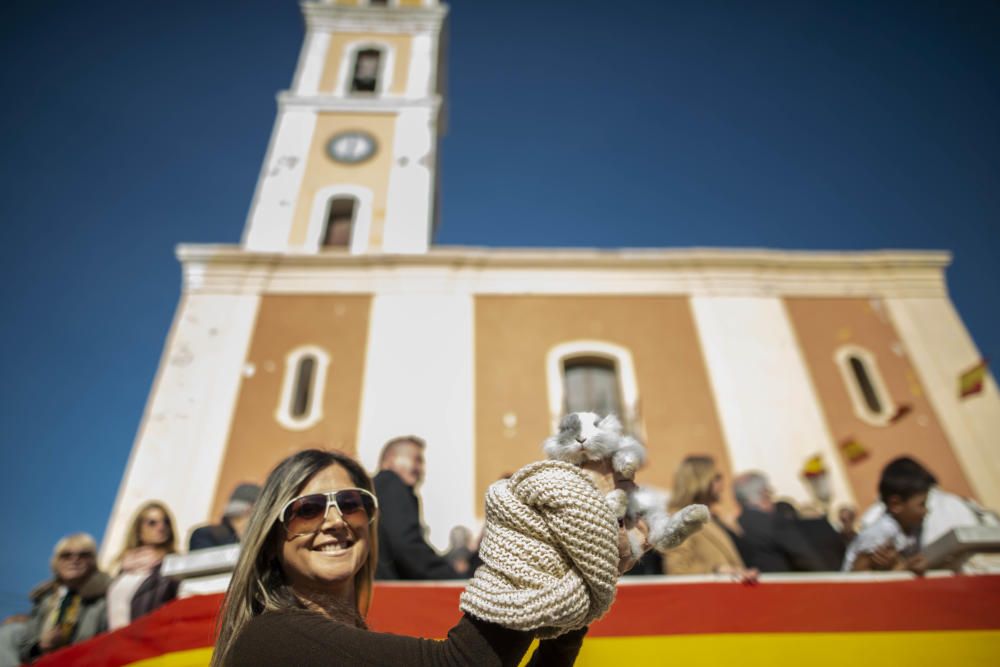 Cartagena celebra San Antón