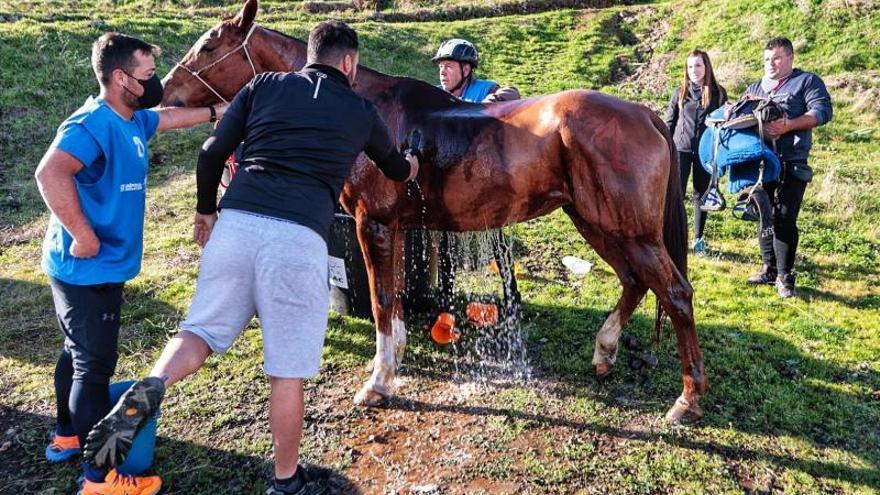 Carreras de caballos en Benijos (La Orotava)