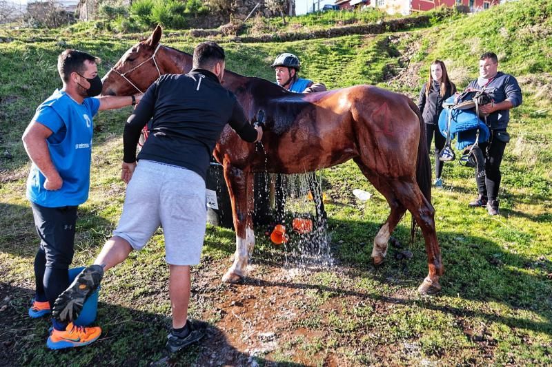 Carreras de caballos en Benijos (La Orotava)