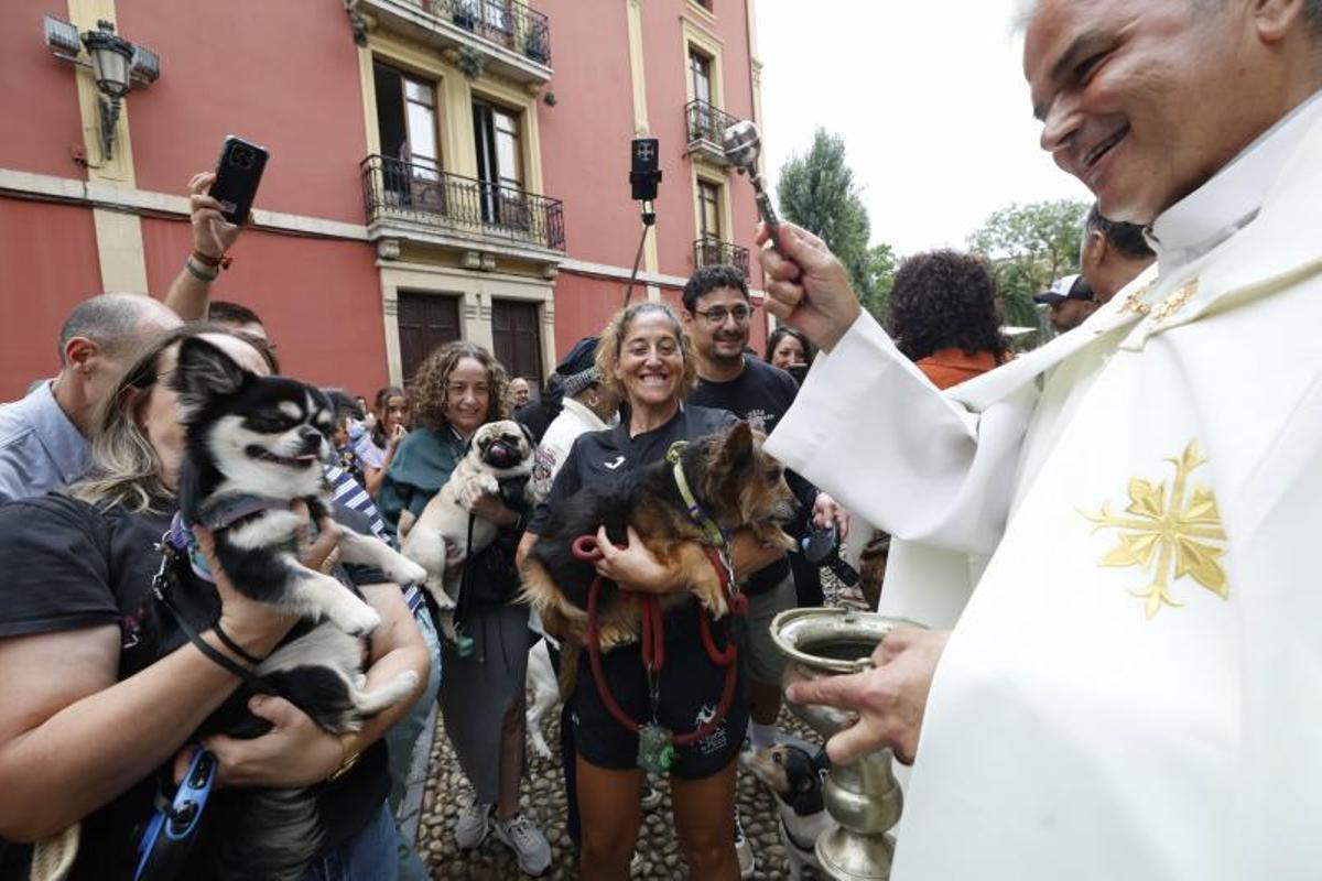 EN IMÁGENES: la bendición de San Roque a las mascotas en El Carbayedo, en Avilés