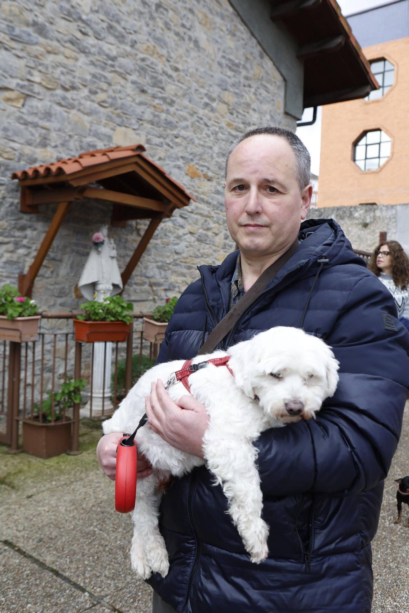 Bendición mascotas en Gijón en la parroquia de Viesques