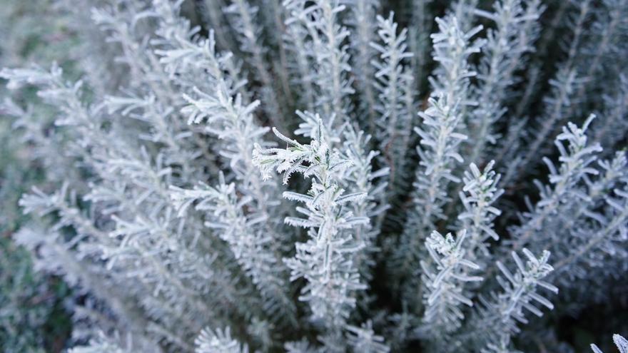 La Aemet mantiene la alerta por temperaturas, que podrían alcanzar los seis grados bajo cero en Zamora