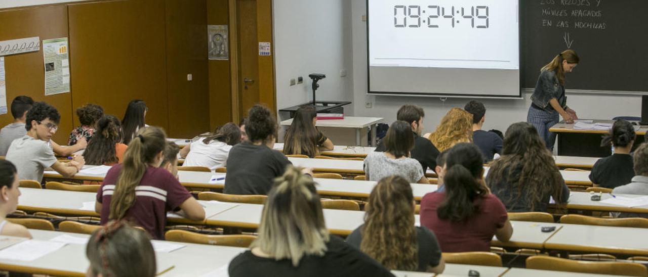 Alumnos realizan uno de los exámenes de Selectividad en la Universidad de Alicante.